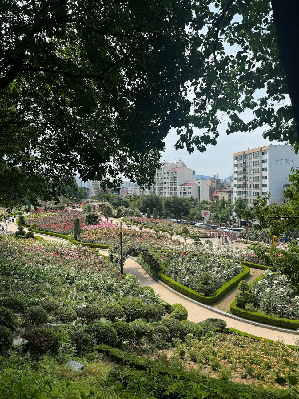 Urban Planning Project
